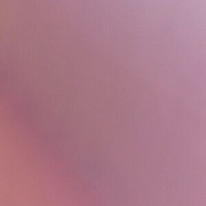 Meet your Posher, Elvira